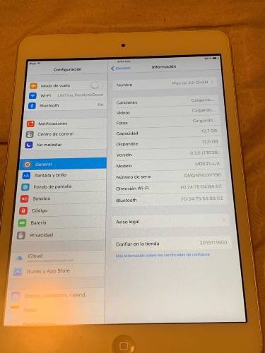 iPad Mini