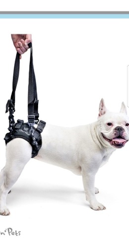 Harness Para Perros Para Caminar Displacia
