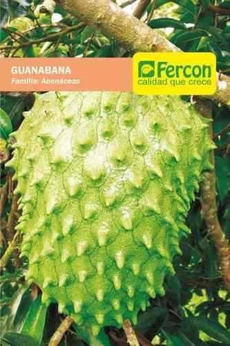 Semillas De Guanabana Gigante Importada Sobre De 50 Semillas
