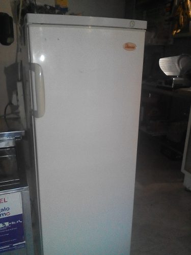 Congelador Y Freezer Vertical Marca Rania De 185 Lt.