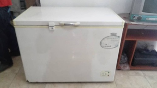 Pelco Congelador Frigilux 300 Litros