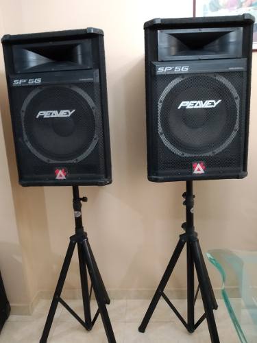 Par De Cornetas Sp5g Peavey Con Parales.