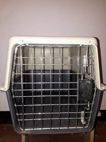 Kennel Para Perros