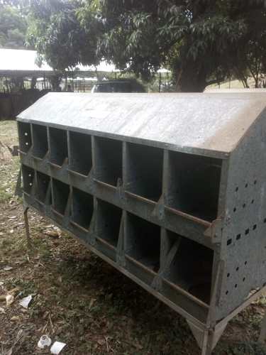 Nidales Para Gallinas Ponedoras