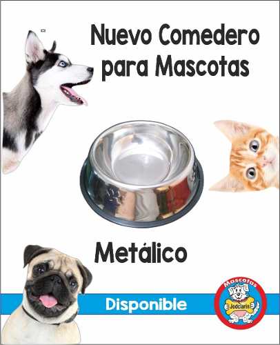 Plato Comedero Metalico Para Perros Y Gatos