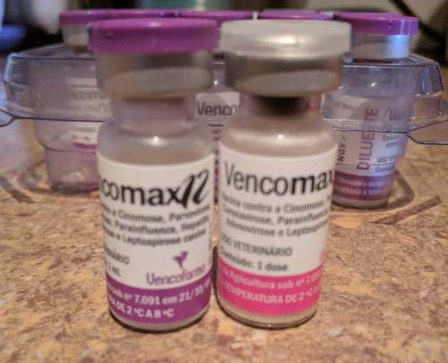 Sextuple Vencomax Con Coronavirus Perros Parvovirus