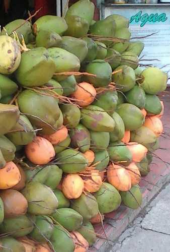 Coco De Cocada Y Agua