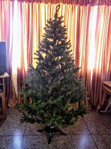 Arbol De Navidad Canadiense