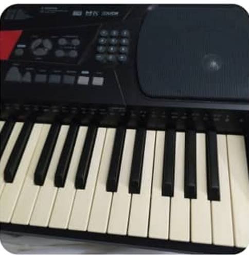 Teclado Yamaha Medeli M30