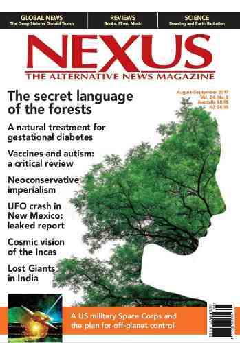 D - Ingles Nexus - The Secret Lenguaje Of The Forest