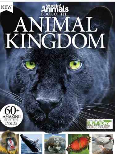 D Inglés - Animal Kingdom