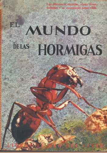 D Publicación - El Mundo De Las Hormigas