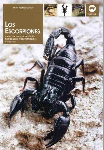 D Publicacion - Los Escorpiones
