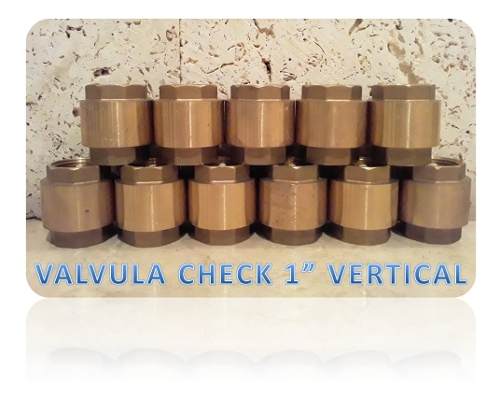 Válvula Check 1 Vertical S/f Metales Aleados 10$