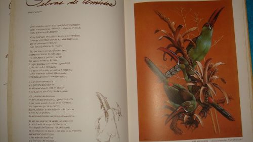 Bello Libro Sobre Aves Venezolanas Características Y Poemas
