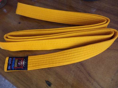 Cintas Cinturon De Grado Karate Color Naranja
