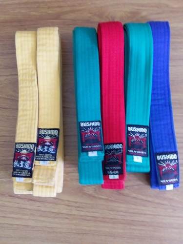 Cinturon Para Taekwondo Bushido Nuevos Y Usados (6)