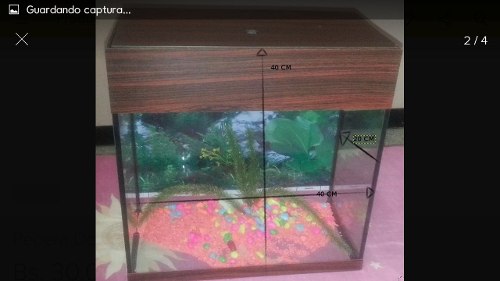 Hogar Para Peces De Vidrio Y Accesorios 50 Verdes