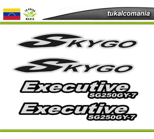 Kit Completo Calcomanía Skigo Executive 250