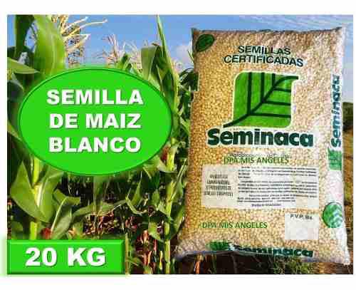 Semillas De Maiz Blanco 20kg (seminaca)