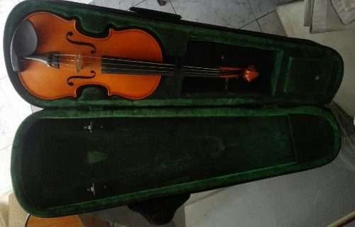 Violin 4/4 Casi Nuevo, Estuche Y Arco. 250 Verdes