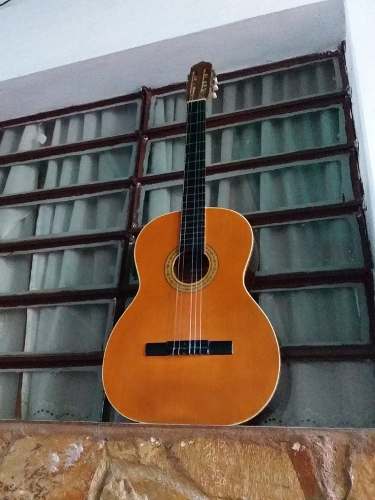 Guitarra Acústica Oiwa