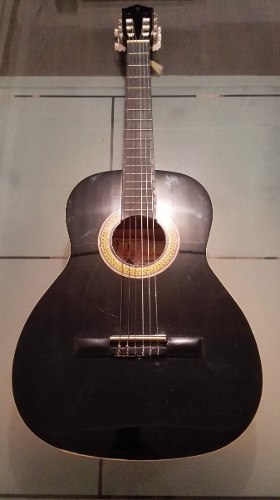 Guitarra Acústica Palmer Con Estuche (excelente Estado)