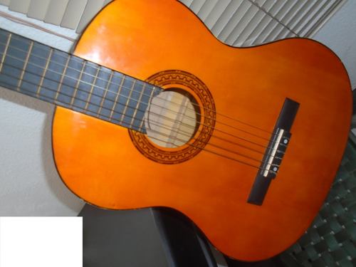 Guitarra Acustica D'andre