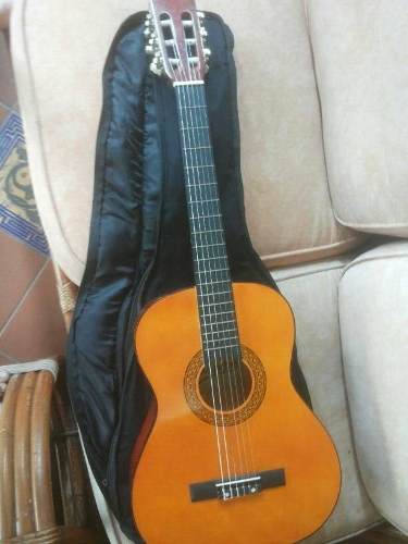 Guitarra Acustica D'andre Usada