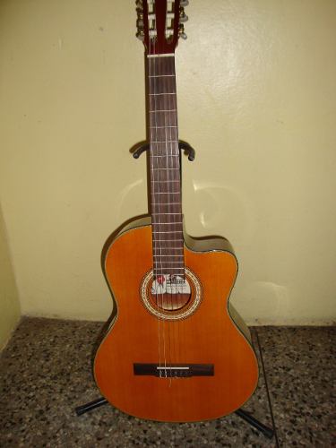 Guitarra Electroacustica Palmer Nueva