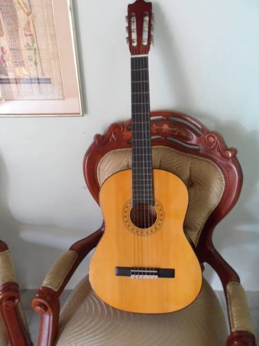 Guitarra Hohner Modelo Mc-05