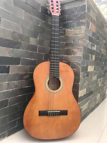 Guitarra Palmer Pc13 Pk1