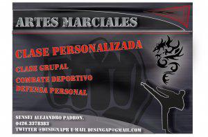 Artes marciales, defensa personal, combate deportivo