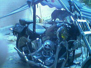 Moto harley davison 1340 cc. Soft tail 1994.