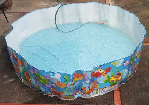 Piscina Para Niños Usada