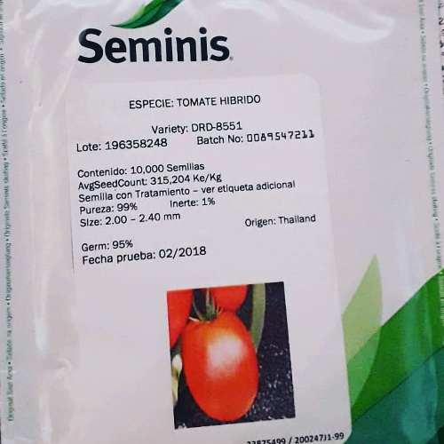 Semillas De Tomate Híbrido (seminis)