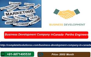 Business Development Services in Canada