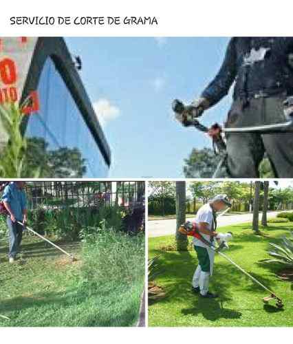 Corte Y Poda De Grama Y Arbusto Desmalesadora