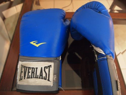 Guantes De Boxeo Y Protector Bucal Everlast
