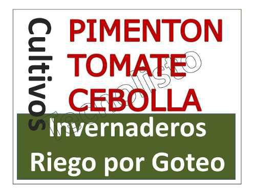Kit Aprende Cultivo Pimentón, Cebolla Y Tomate. 2019