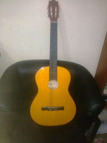 Guitarra Clasica Fretmaster