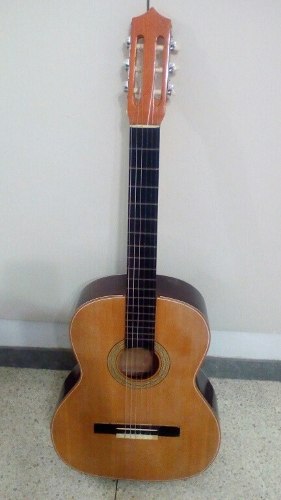 Guitarra Clásica En Buenas Condiciones Estuche 110 Verde