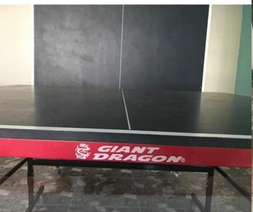 Mesa Ping Pong Giant Dragon (400$)