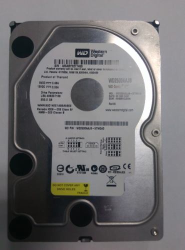 Disco Duro Western Digital 250 Gb Ide