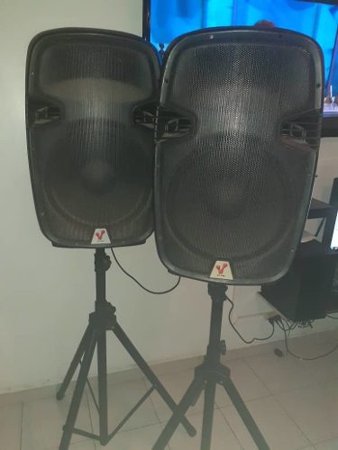 Cornetas Amplificadora Rt-pas15 W Sonido Profesional
