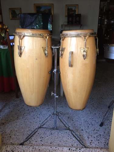 Congas Cp Con Paral Incluido