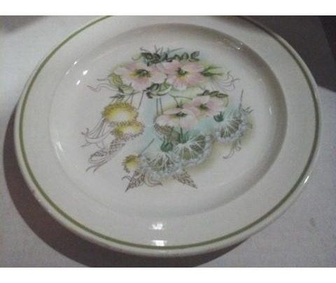 Plato De Porcelana Marca Trend J&g Meakin England Symphony