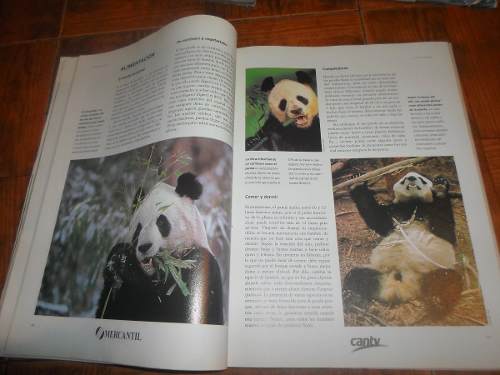 Enciclopedia Mundo Animal Nat Geo Full-color 100% Recomendad