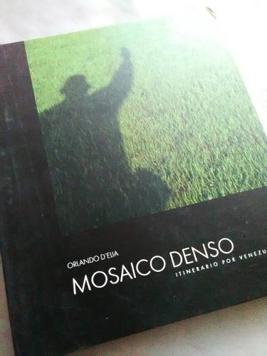 C1 Orlando D Elia Mosaico Denso Itinerario Por Venezuela