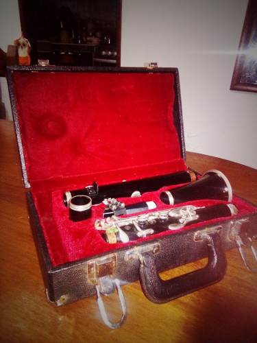 Clarinete Parrot 100vd